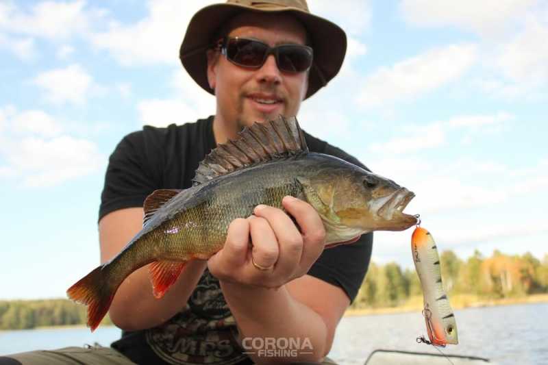 łowienie z powierzchni